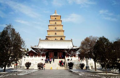 Tour privato di Xian dei guerrieri di terracotta, mura della città e pagoda dell’oca selvatica